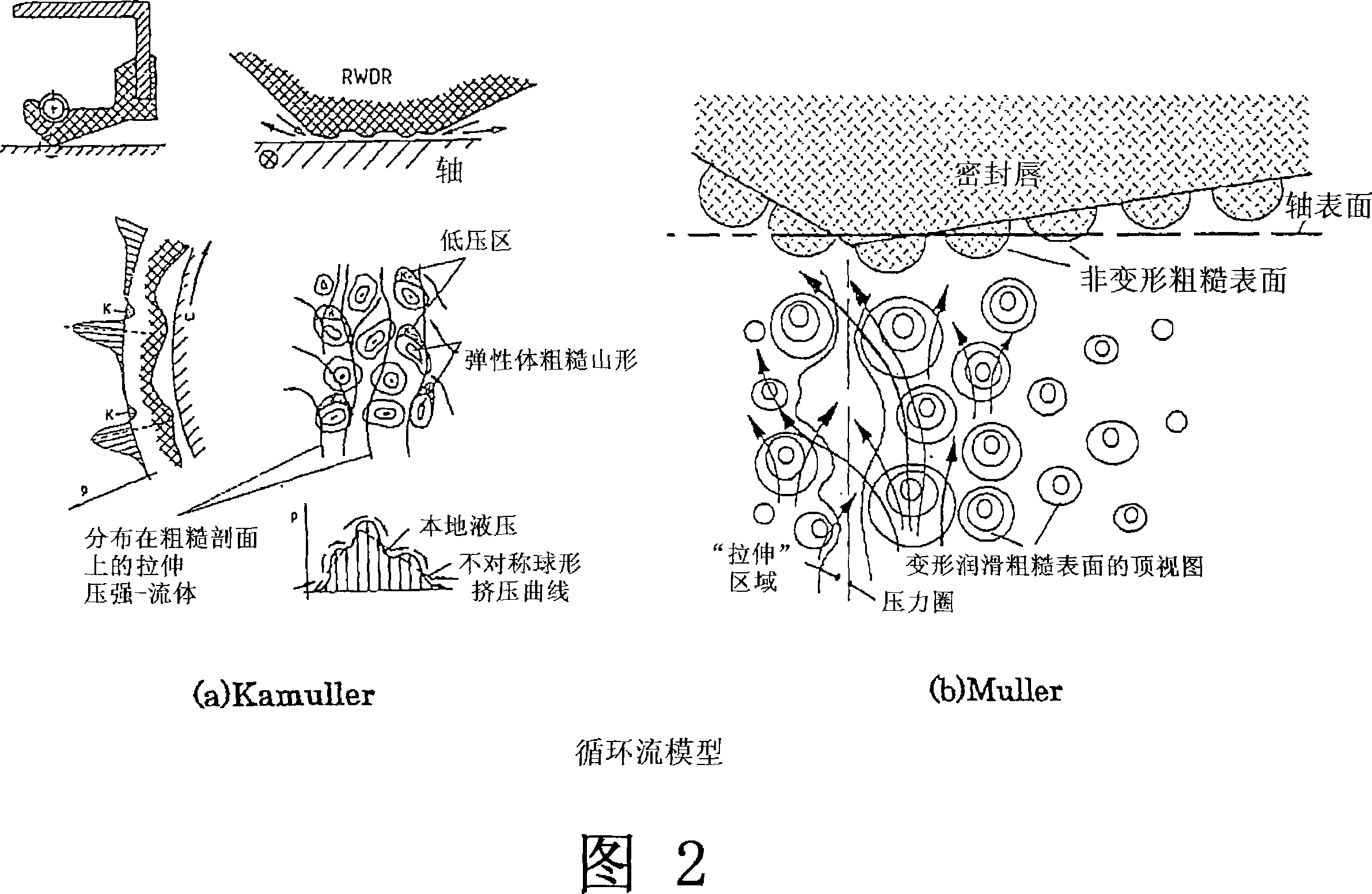 Oil seal and production method therefor