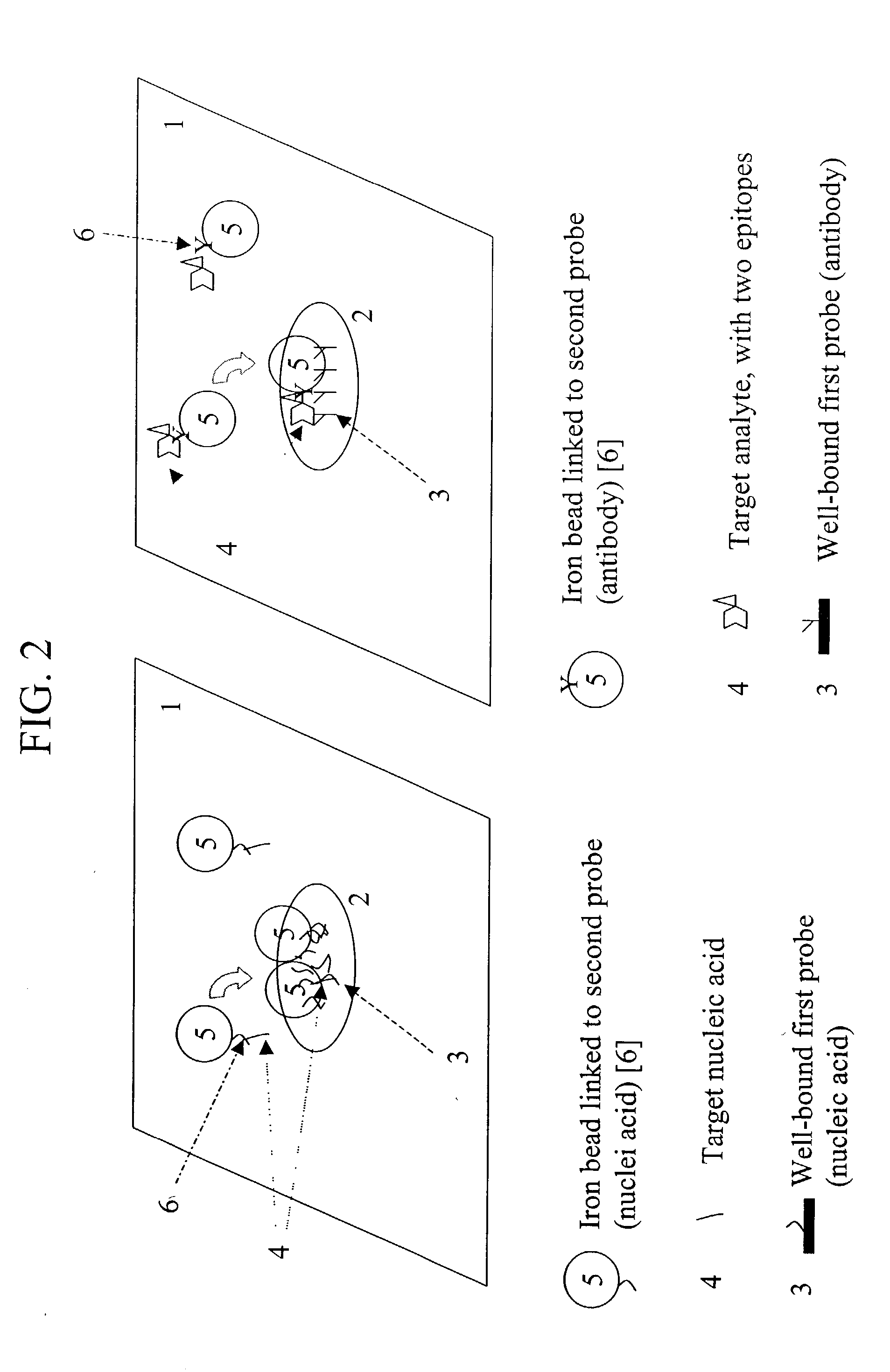 Method of detecting molecular target by particulate binding