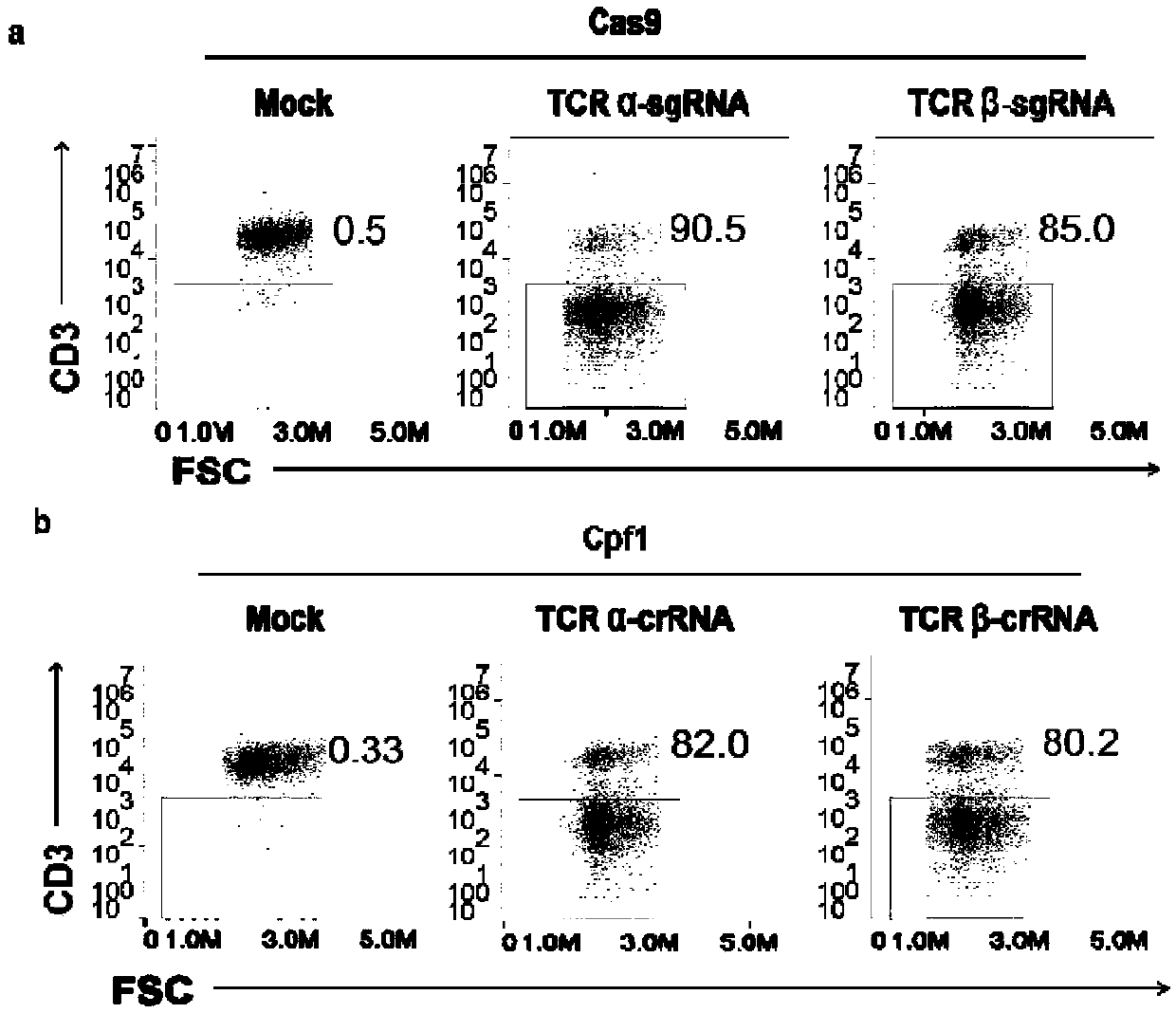 Universal cart/tcrt cell with antibody drug resistance and construction method thereof