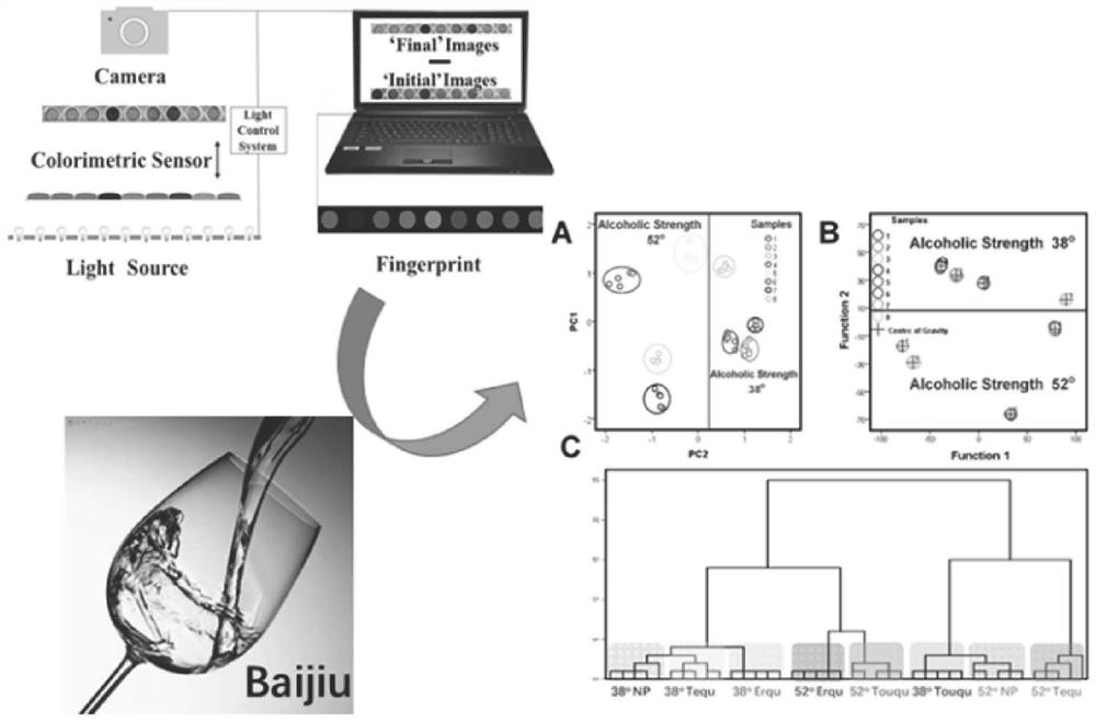 Method for rapidly detecting white spirit based on nanometer material-organic dye colorimetric sensing array