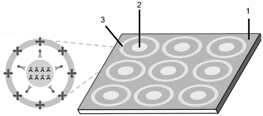 Double-excitation orthogonal emission up-conversion luminescence nano-particles, multi-flux detection immunochromatography test paper and application of multi-flux detection immunochromatography test paper