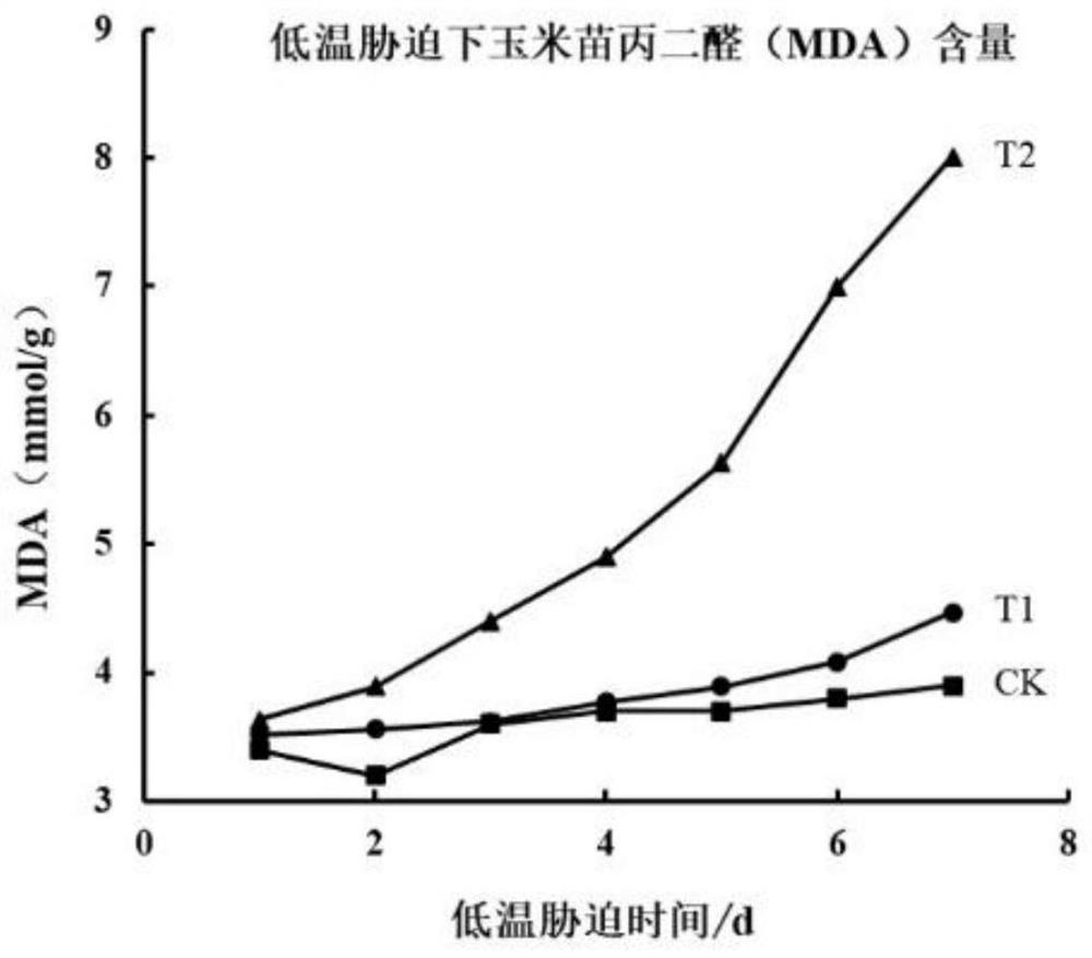 Fertilizer functional synergist and application thereof