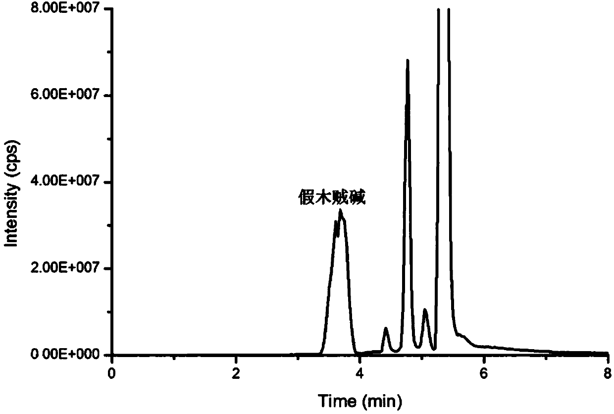 Method for measuring trace alkaloids and nitrosamines in cigarette filters