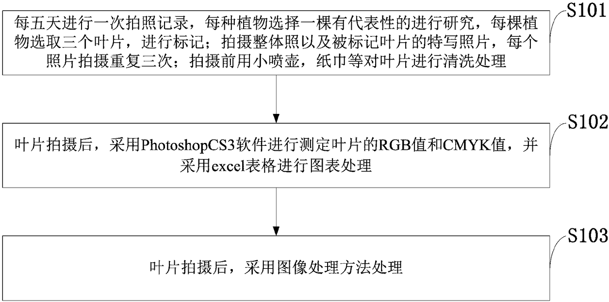 Leaf color detection method for autumn leaf plant on the basis of color pattern