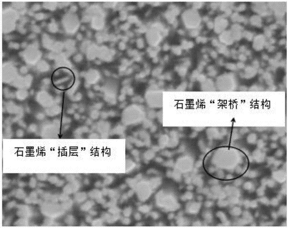 Anti-static peelable protective glue composition and preparation method thereof