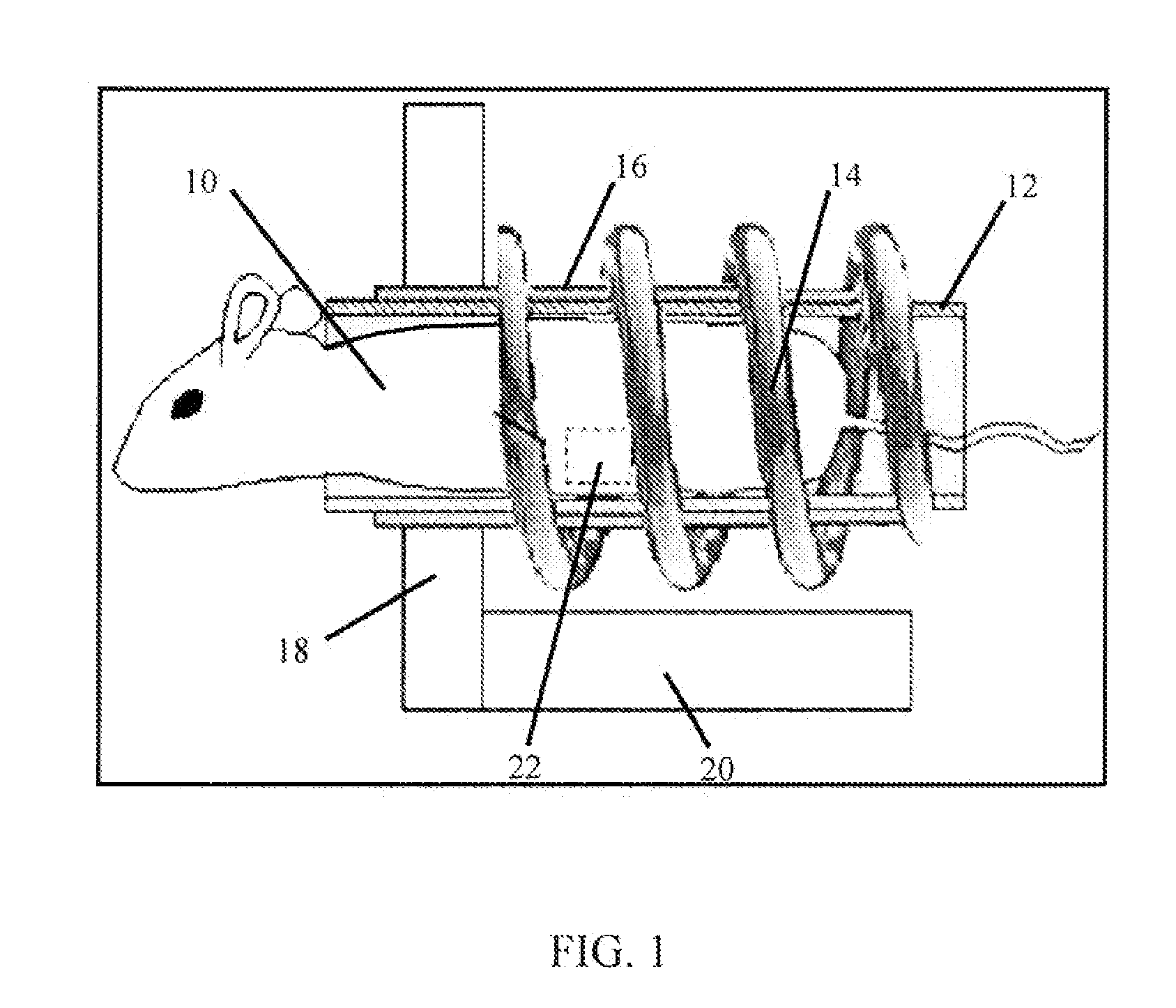 Thermotherapy susceptors and methods of using same