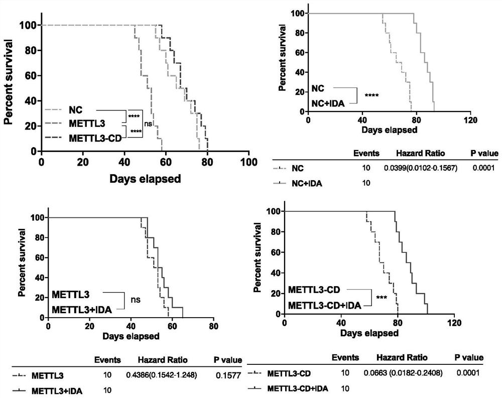 Application of METTL3 in AML chemotherapy drug resistance