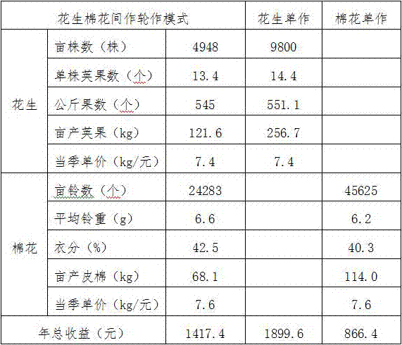 Cotton and peanut intercropping and crop rotation efficient planting mode in medium and slight sulfate saline-alkali soil