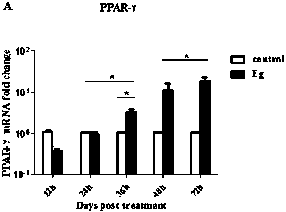Method for researching influence on macrophage polarization by PPARs