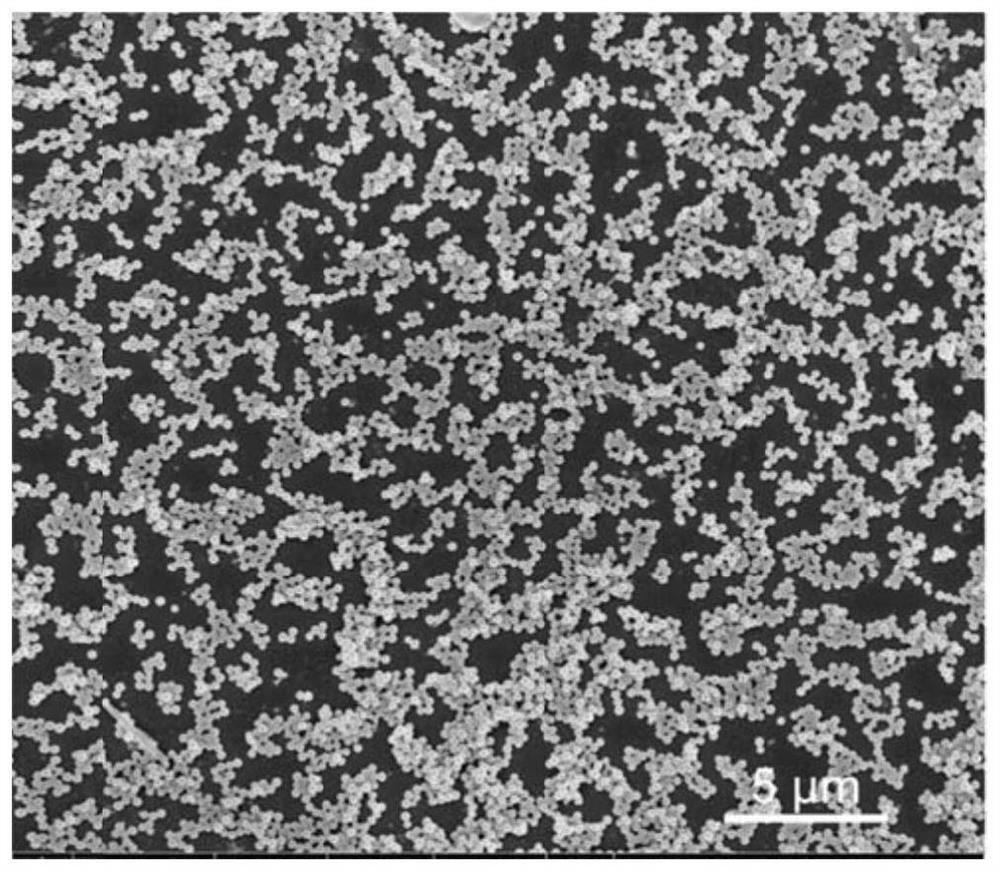 Cu2O single crystal nanoparticle-polymer composite film with bright structural color and preparation method thereof