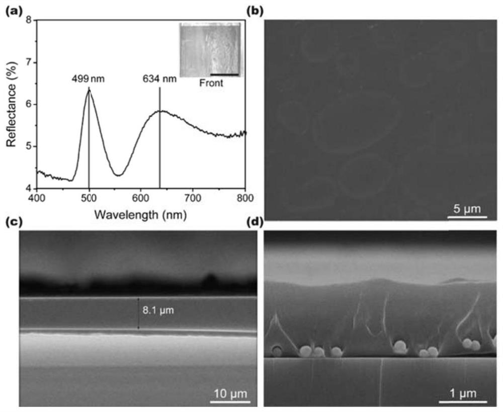 Cu2O single crystal nanoparticle-polymer composite film with bright structural color and preparation method thereof