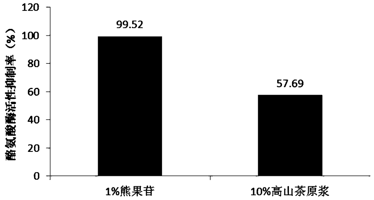 A high camellia fermented puree cosmetic and its preparation method and application