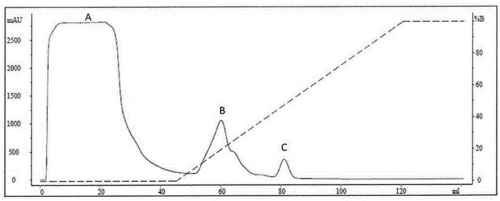 Modified coiled coil type proteins having improved properties