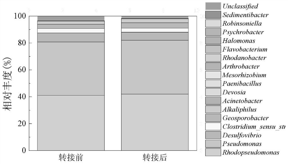 Method for efficiently degrading pollutants in oil refining wastewater by using photosynthetic bacterium system