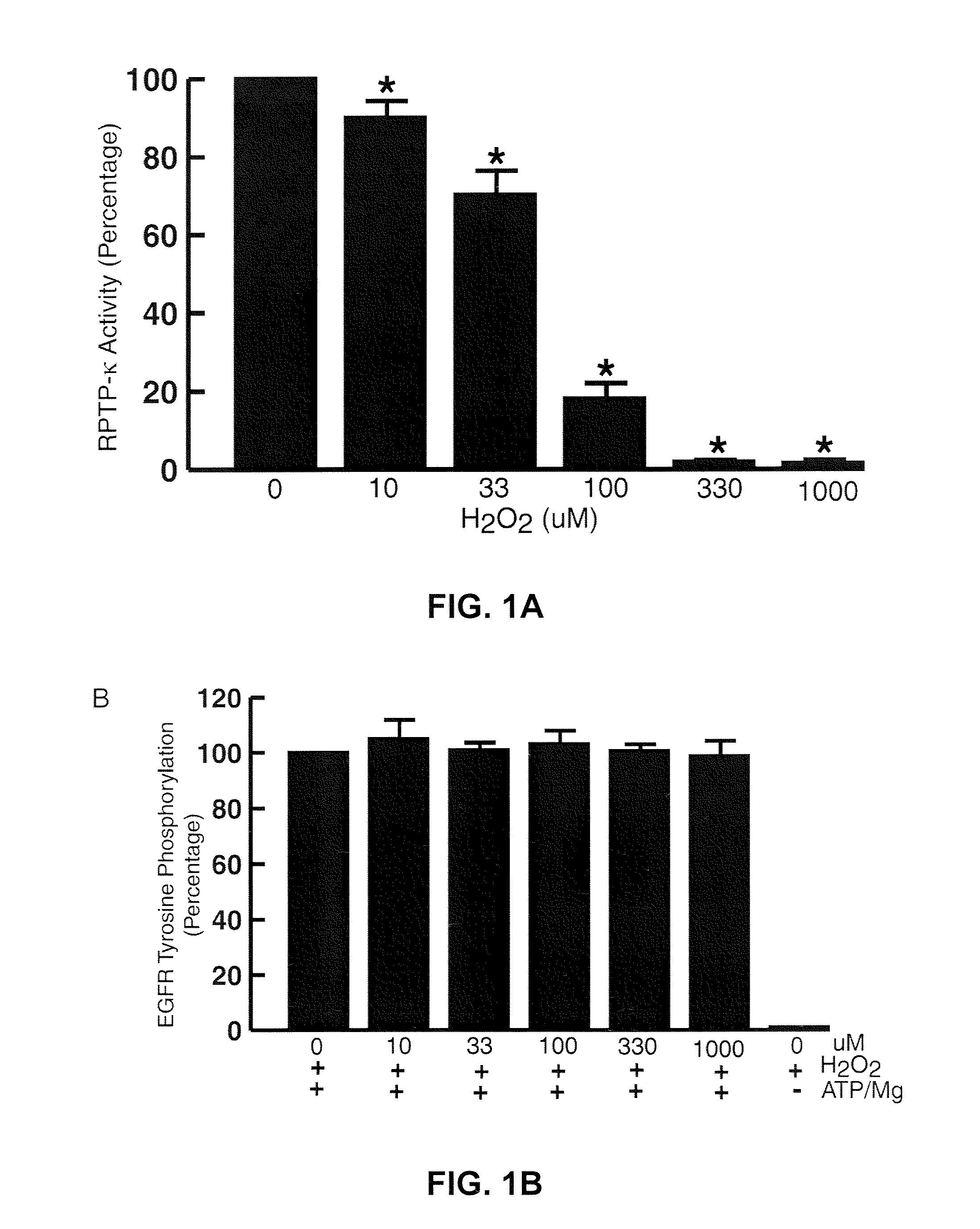Methods for identifying treatments that treat and/or prevent UV irradiation inducing photoaging
