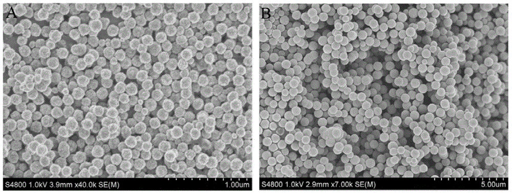 Superparamagnetic nanoparticle Fe3O4@SiO2@PSA modified by PSA and preparing method and application thereof