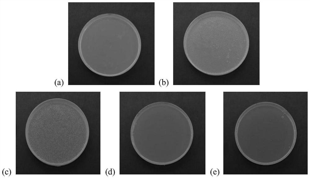 Anti-biological pollution modification method for water treatment membrane material