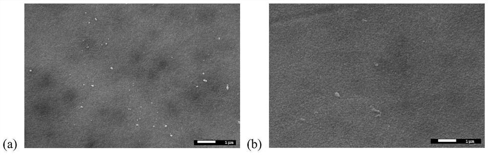 Anti-biological pollution modification method for water treatment membrane material