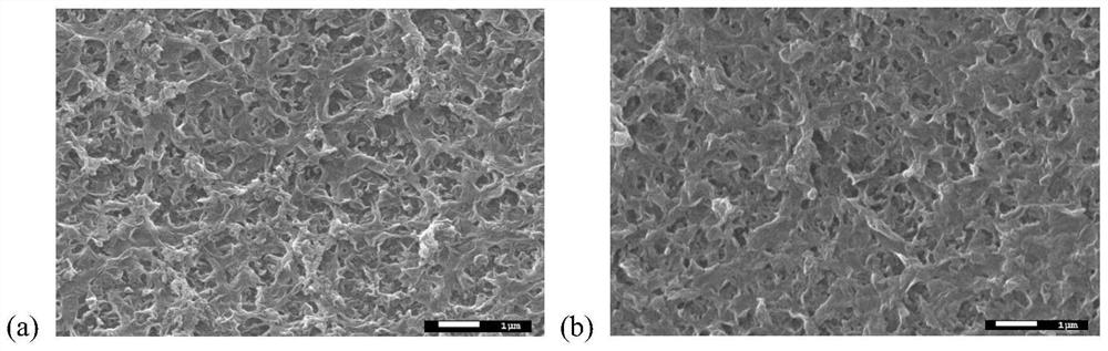 Anti-biological pollution modification method for water treatment membrane material