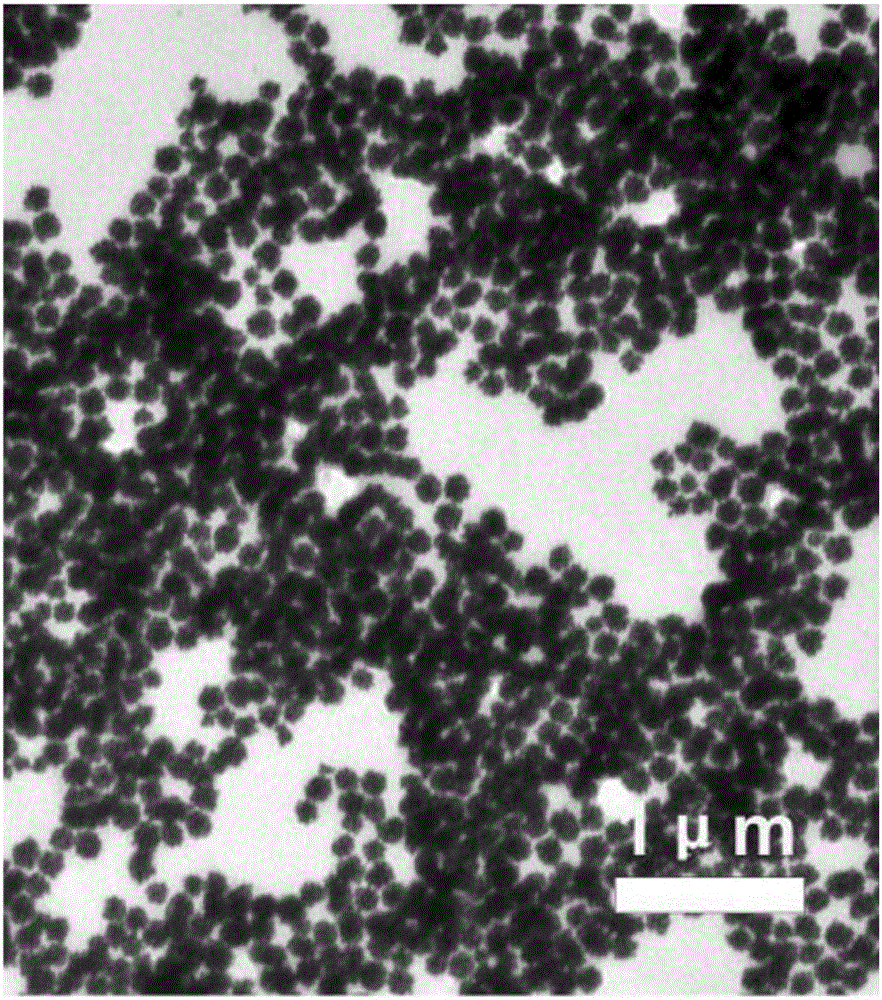 Nanometer particle containing elemental gold and application thereof