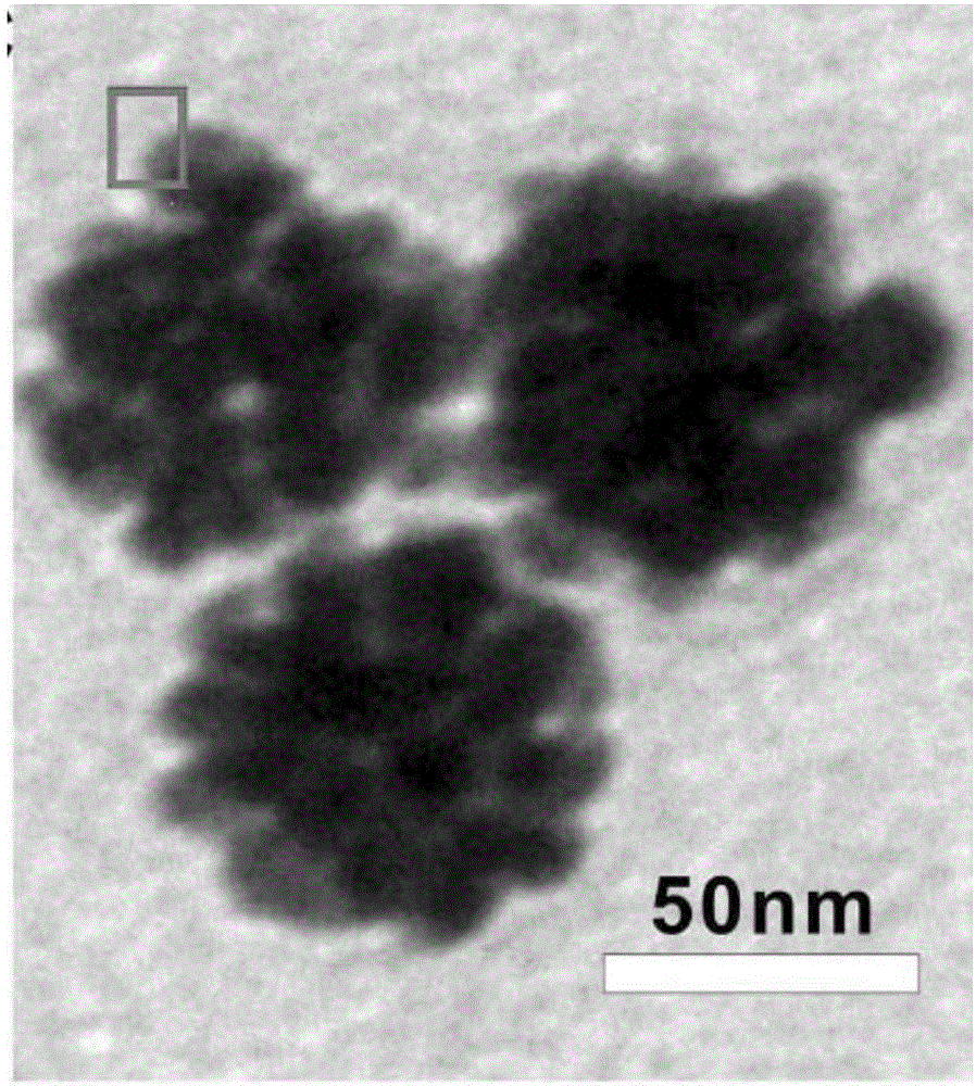 Nanometer particle containing elemental gold and application thereof