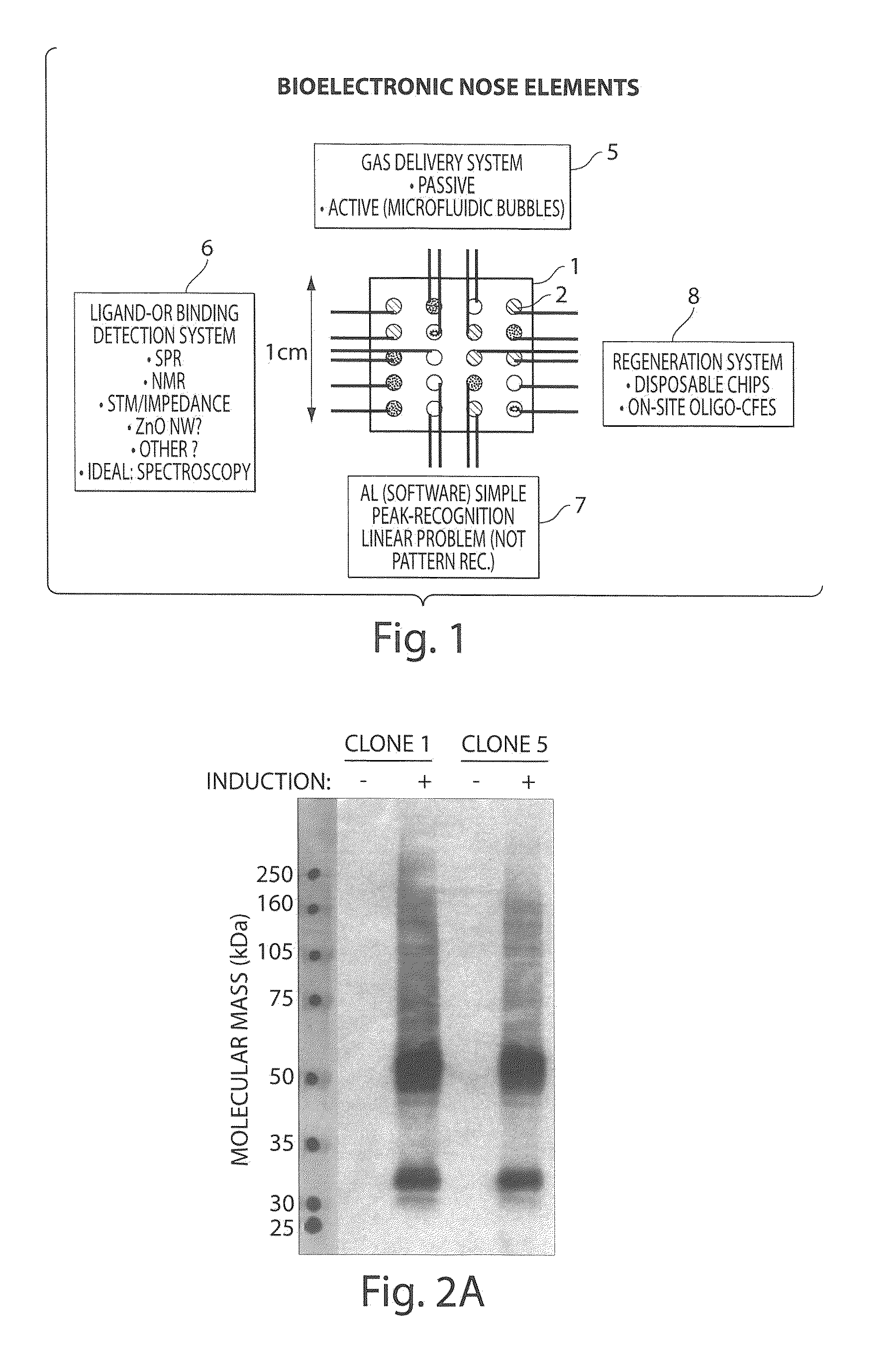 Multiplexed Olfactory Receptor-Based Microsurface Plasmon Polariton Detector