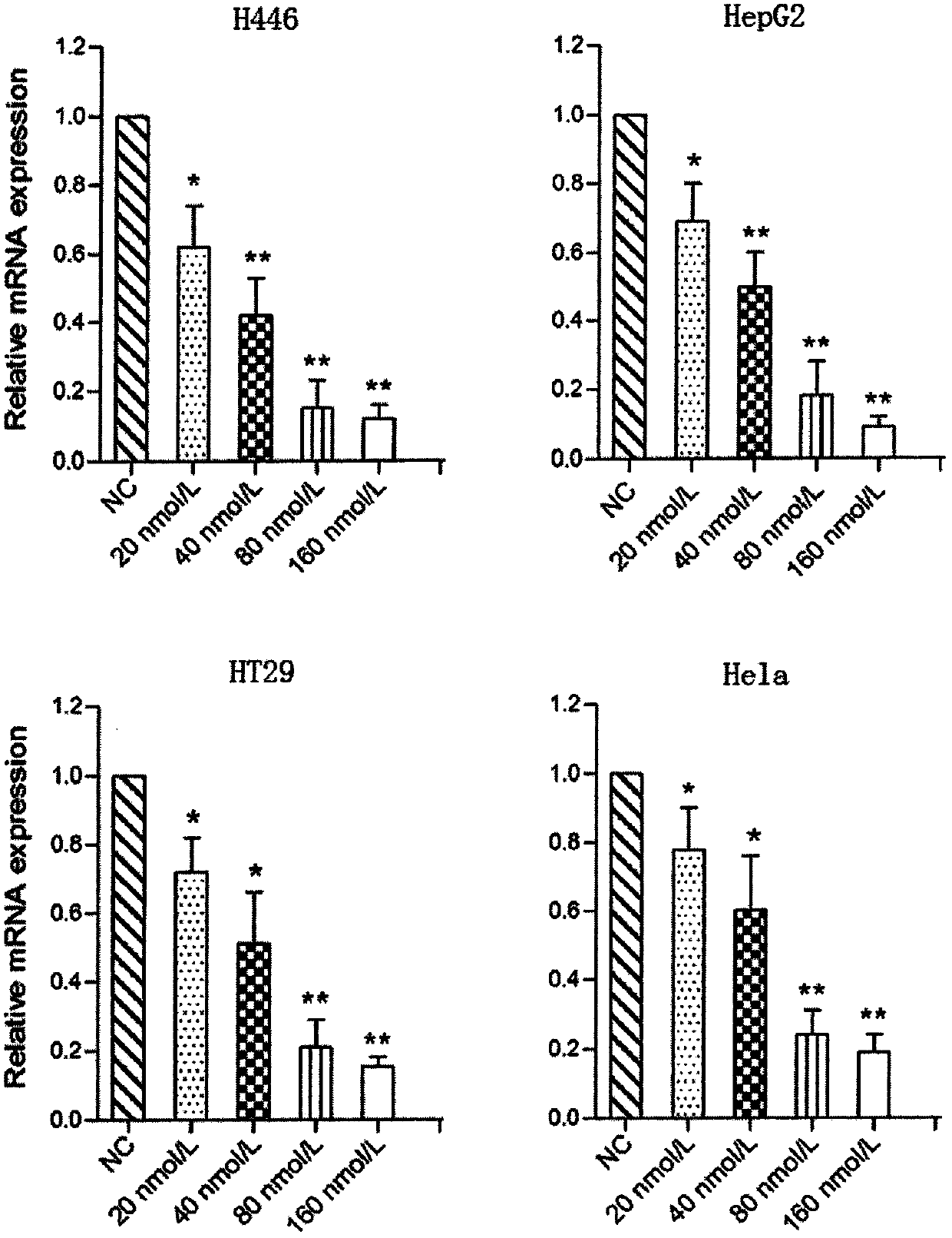 Double-stranded p-siRNA molecule and p-siRNA recombinant plasmid for suppressing sox2 gene expression and application thereof