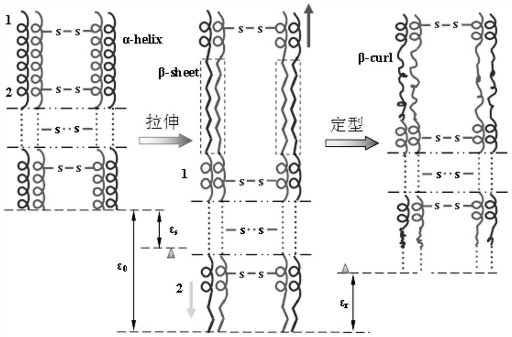 Soft wool fabric of fine wool based on beta folding to alpha spiral transition and preparation thereof