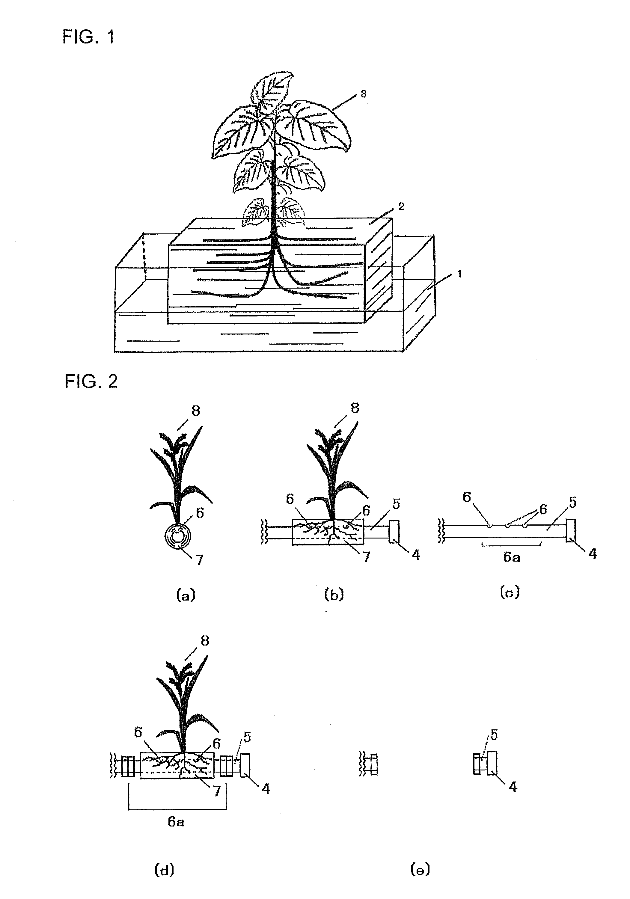 Plant cultivation system, plant cultivation method using the plant cultivation system and production method for the plant cultivation system