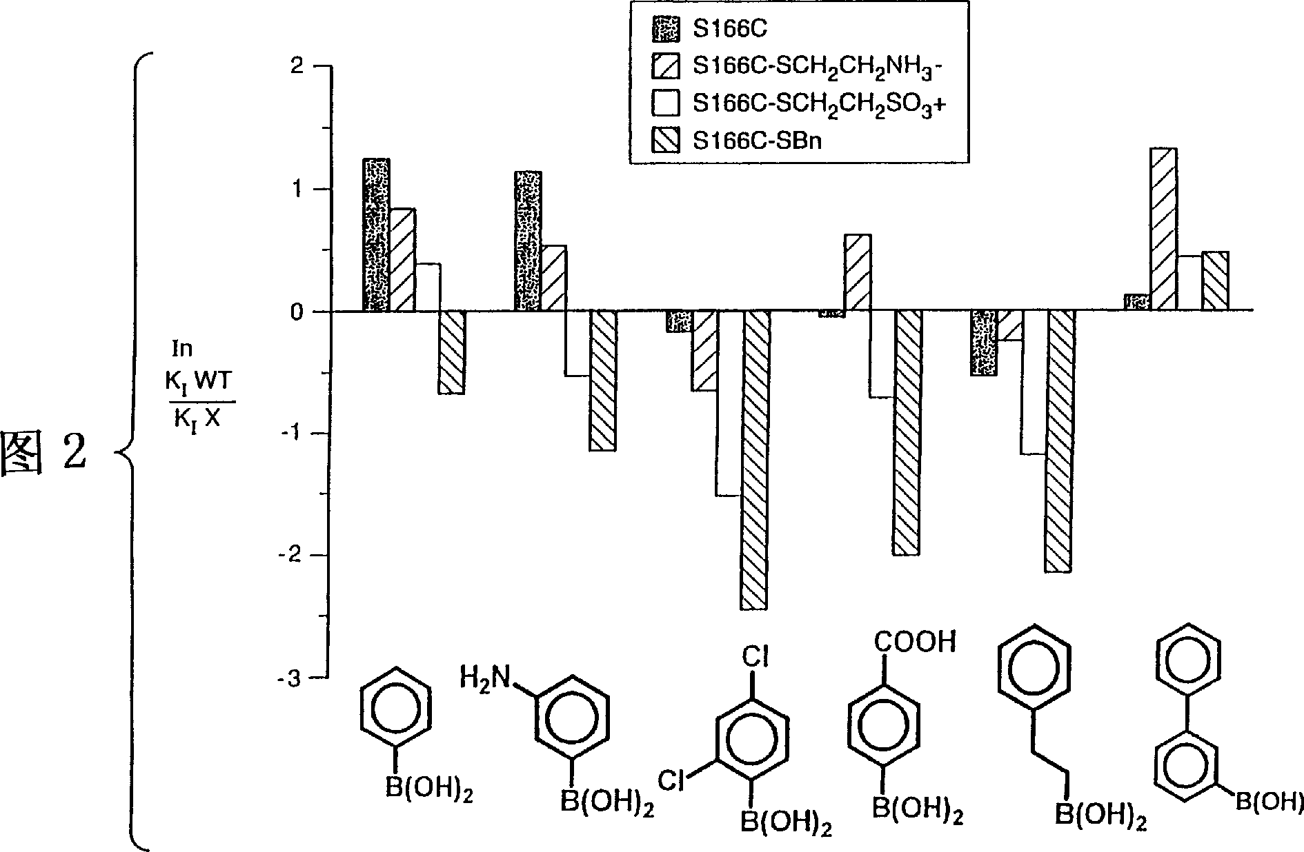 Chemically modified enzymes