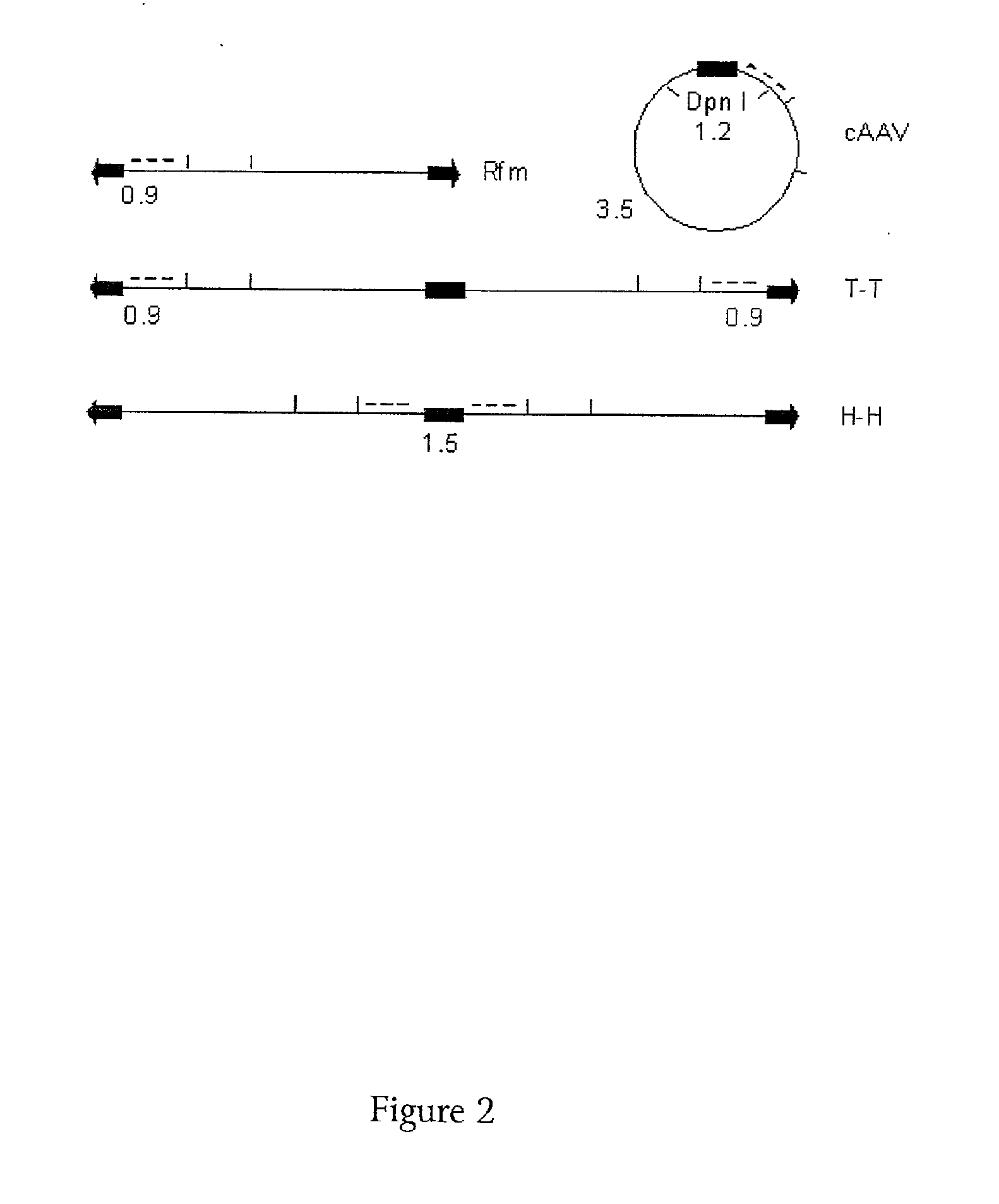 Method for generating replication defective viral vectors that are helper free