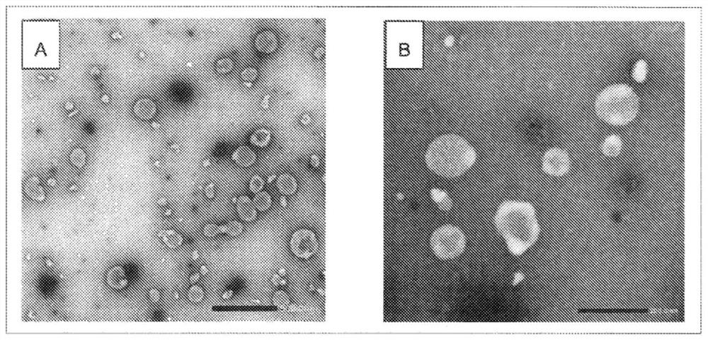 Inactivated whole-virus influenza vaccine and method for preparing same