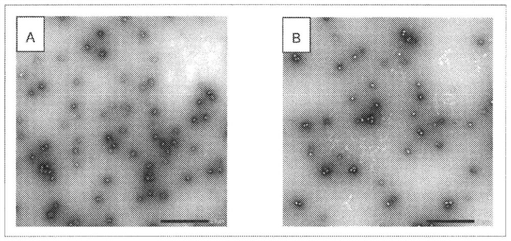 Inactivated whole-virus influenza vaccine and method for preparing same