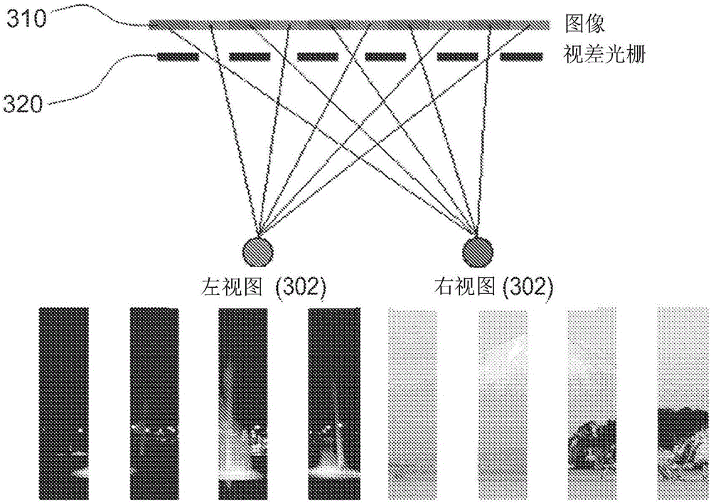 Dual viewing film and dual view display apparatus using the same