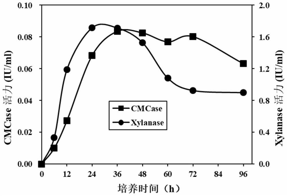 A flocculant-producing strain and its application in shrimp biofloc culture and dye decolorization