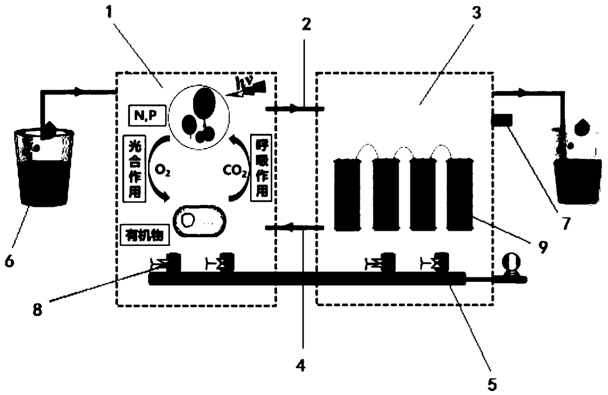 Photoreaction-MBR integrated nitrogen and phosphorus removal equipment