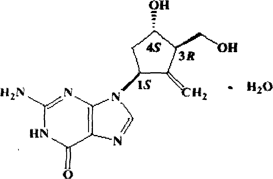 Entecavir dispersible tablet and its preparation process