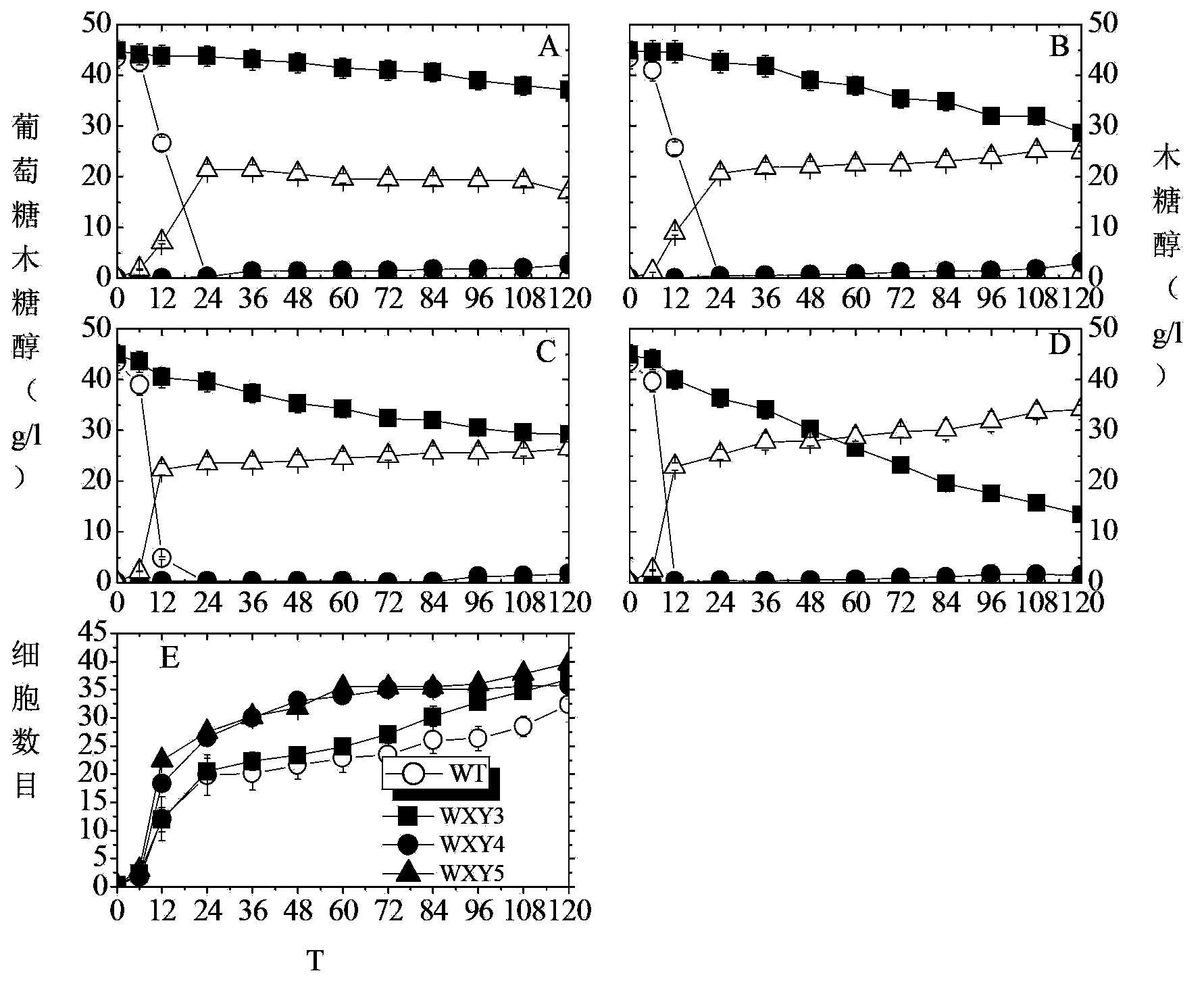 Three-stage genetic transcription control method for improving cellulosic ethanol yield and genetic engineering bacterial strain