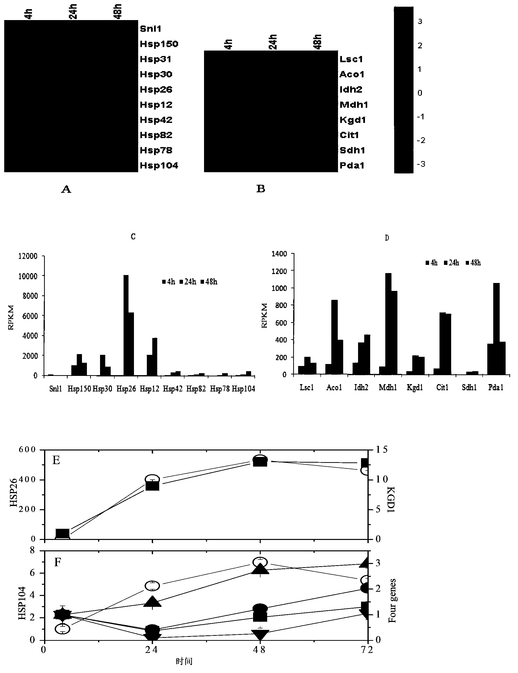 Three-stage genetic transcription control method for improving cellulosic ethanol yield and genetic engineering bacterial strain