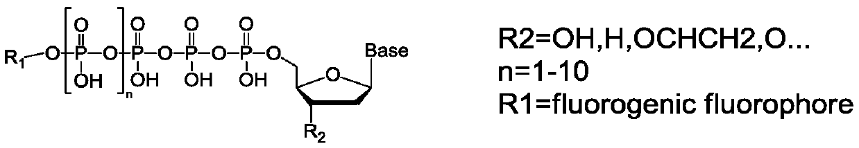Method for synthesizing anthracene fluorescent dye