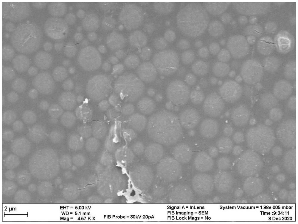 Liquid metal functional composite film and preparation method thereof