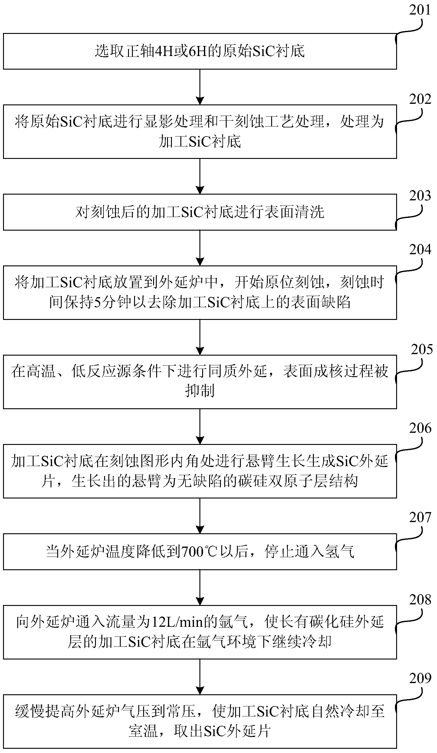 SiC substrate homoepitaxy carbon silicon double-atomic-layer film method