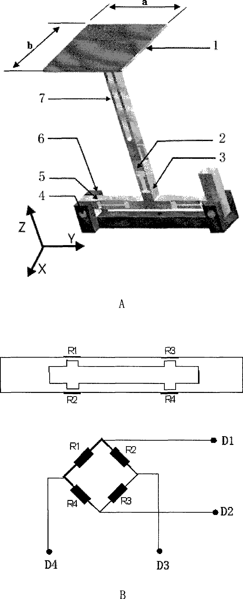 Test method and system of animal foot-face contact counter force