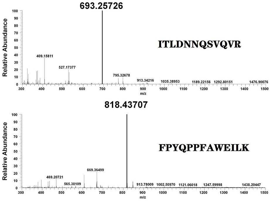 A liquid chromatography tandem mass spectrometry method for detecting glucose dehydrogenase in the honey bees and bees