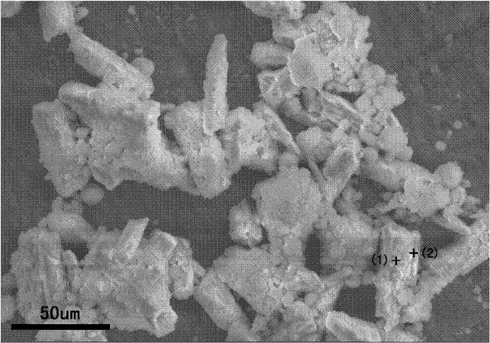 Alpha-calcium sulfate hemihydrate/hydroxyapatite composite granule with nuclear shell structure and preparation thereof