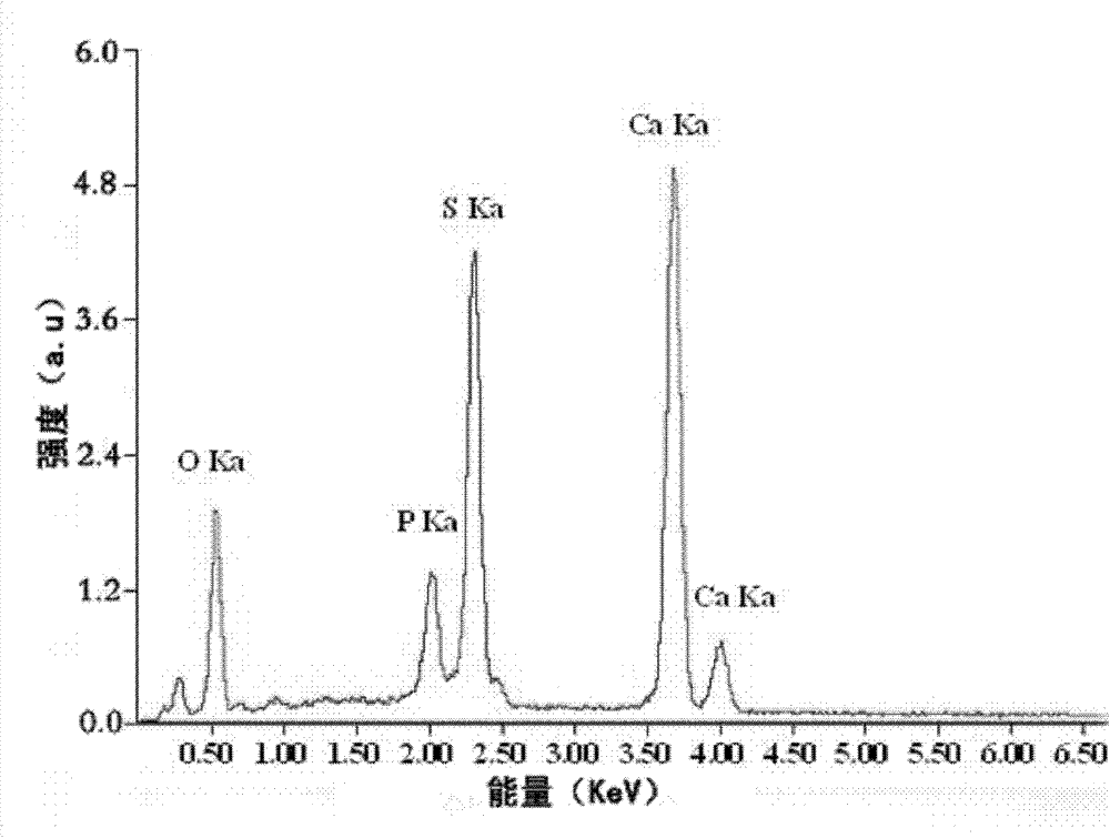 Alpha-calcium sulfate hemihydrate/hydroxyapatite composite granule with nuclear shell structure and preparation thereof