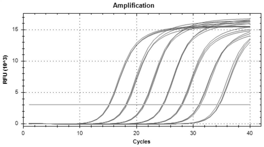 Primer and method for fluorescent quantitative PCR detection of Enterocytozoon hepatopenaei (EHP)