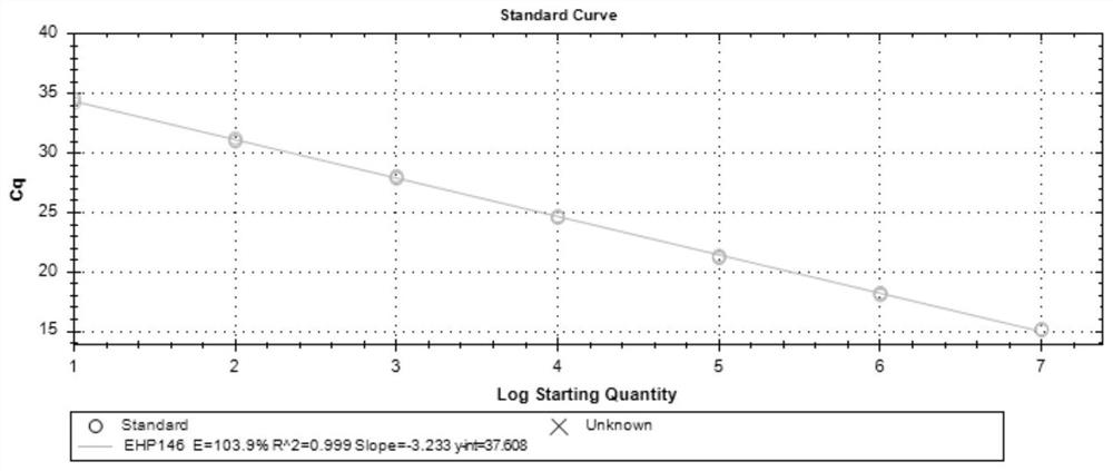 Primer and method for fluorescent quantitative PCR detection of Enterocytozoon hepatopenaei (EHP)