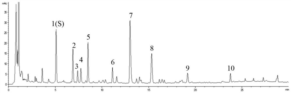 Method for detecting ultra-high performance liquid chromatography characteristic chromatogram of semen descurainiae formula granules
