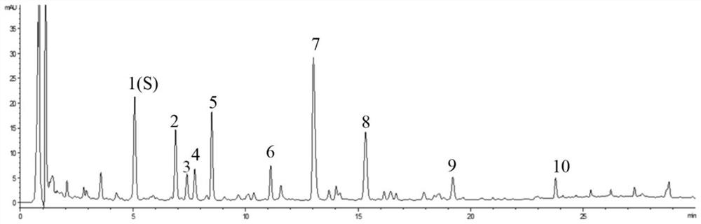 Method for detecting ultra-high performance liquid chromatography characteristic chromatogram of semen descurainiae formula granules